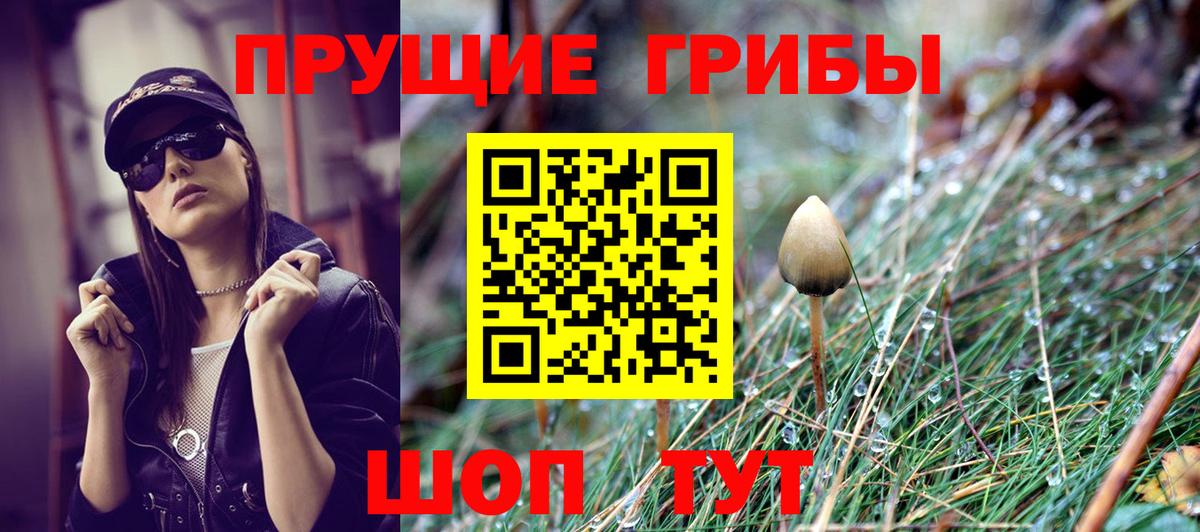 Березники  Псилоцибиновые грибы мухоморы  хочу   Вход с VPN 