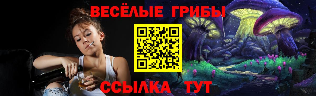 Псилоцибиновые грибы ЛСД Березники
